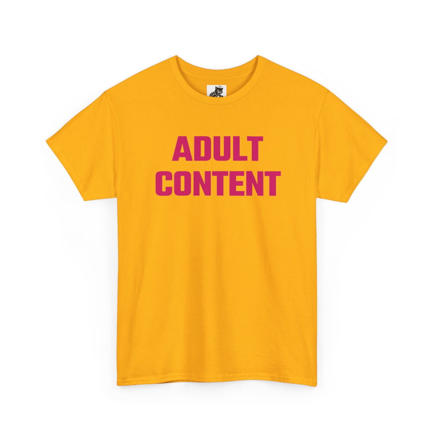 ADULT CONTENT (Version 2) Graphic T-Shirt