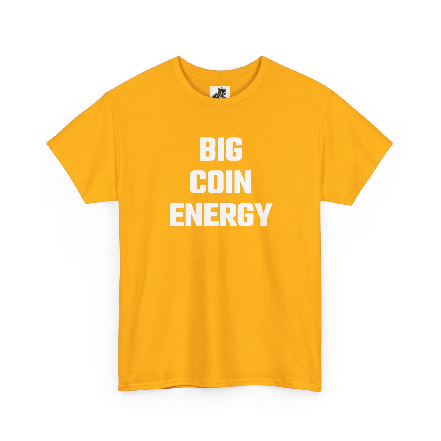 Big Coin Energy Crypto Themed T-Shirt