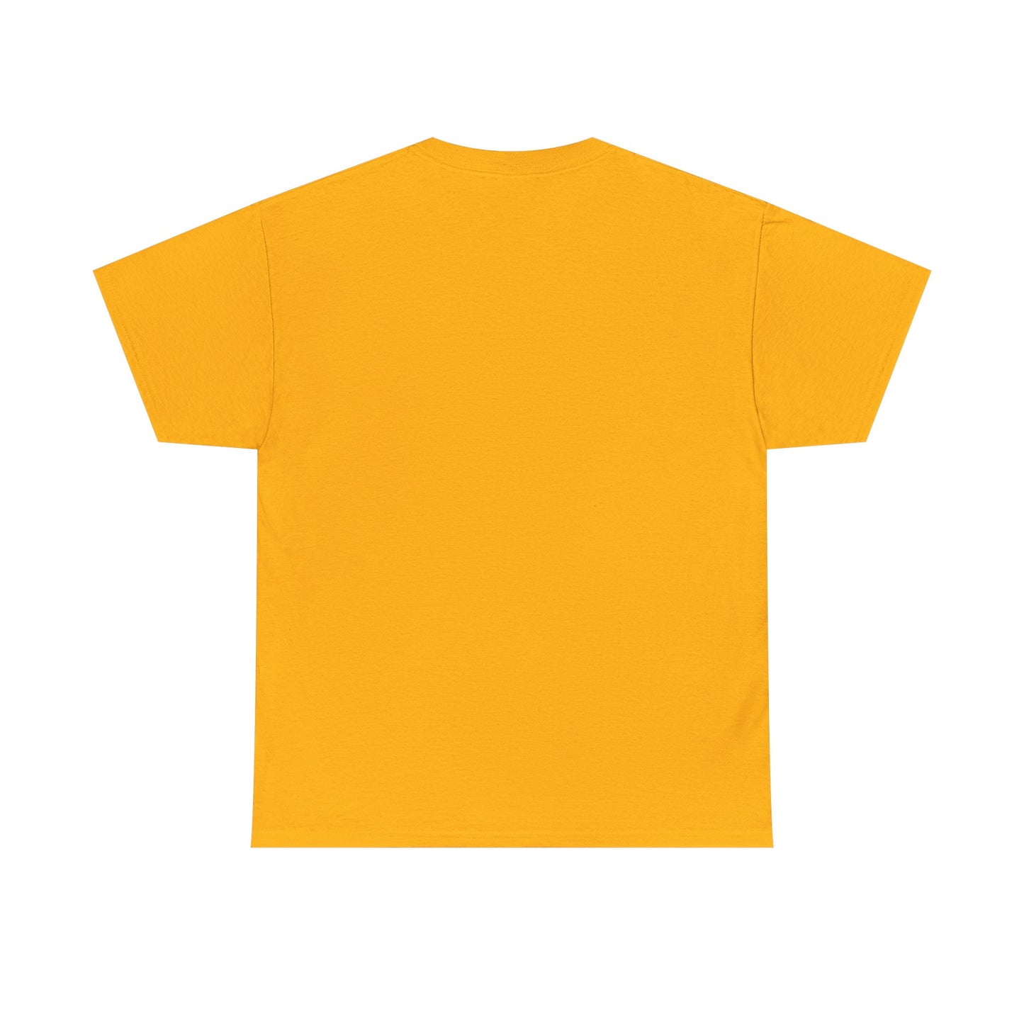 ADULT CONTENT (Version 2) Graphic T-Shirt